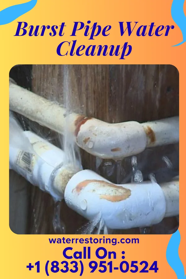 Burst Pipe Water Cleanup in Smithton, PA