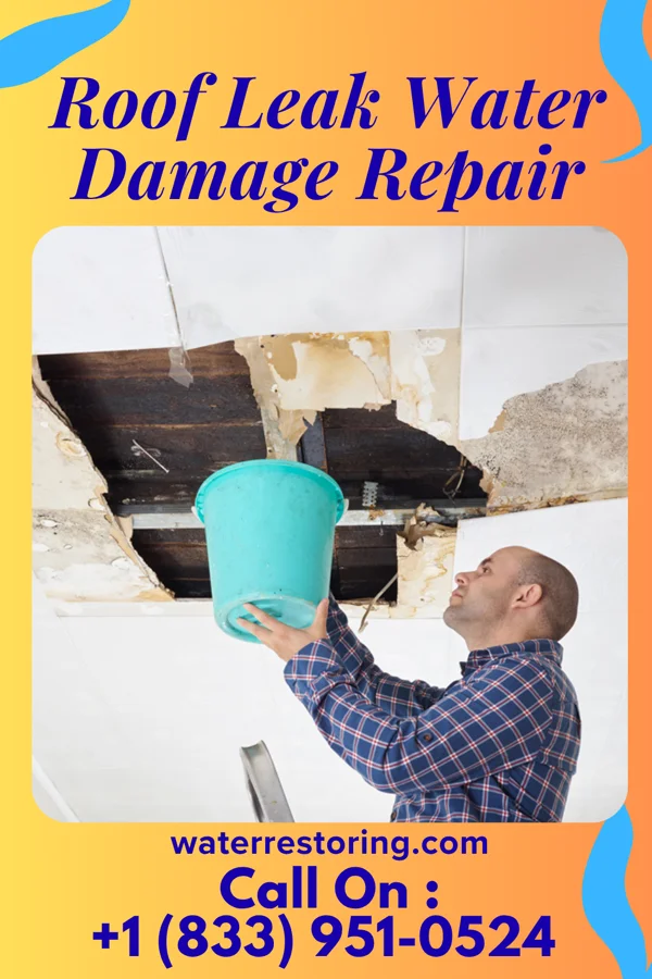 Roof Leak Water Damage Repair in Smithton, PA