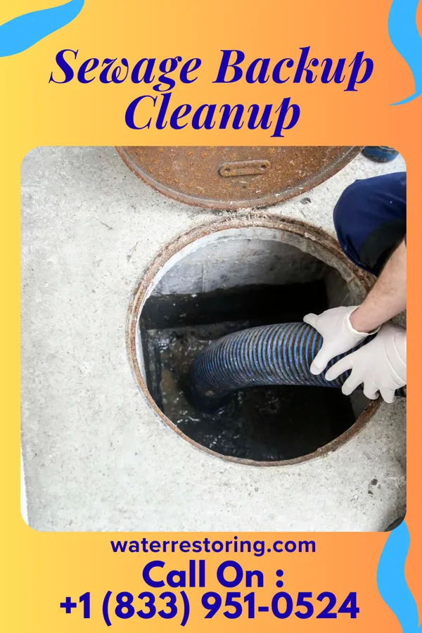 Sewage Backup Cleanup in Smithton, PA