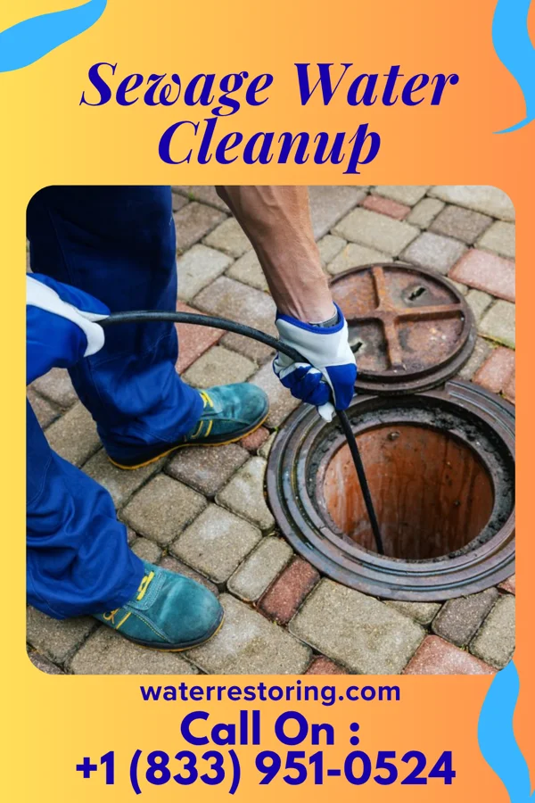 Sewage Water Cleanup in Smithton, PA